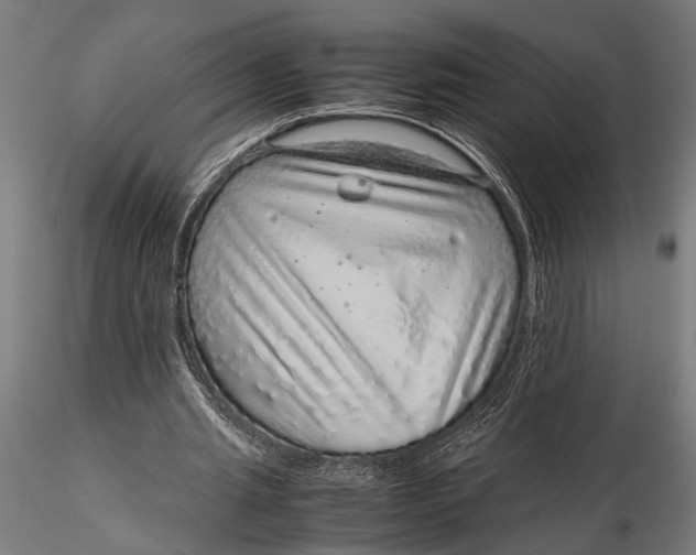 X0000116100437200912141000