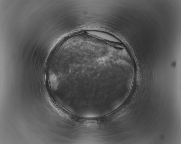 X0000116100438200912141000