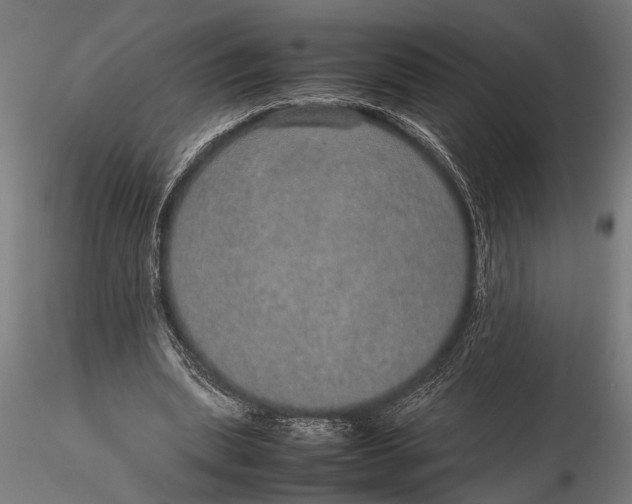 X0000116100439200912141000