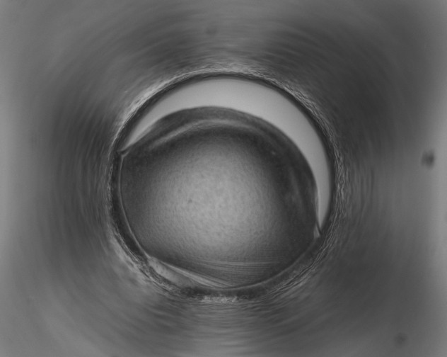 X0000116100440200912141000