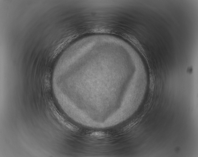 X0000116100441200912141000