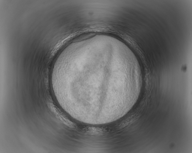 X0000116100442200912141000