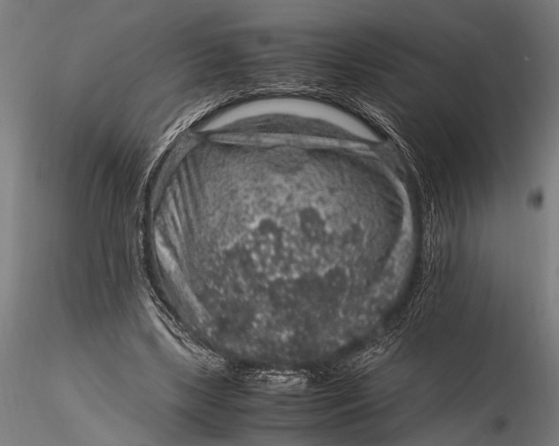 X0000116100443200912141000