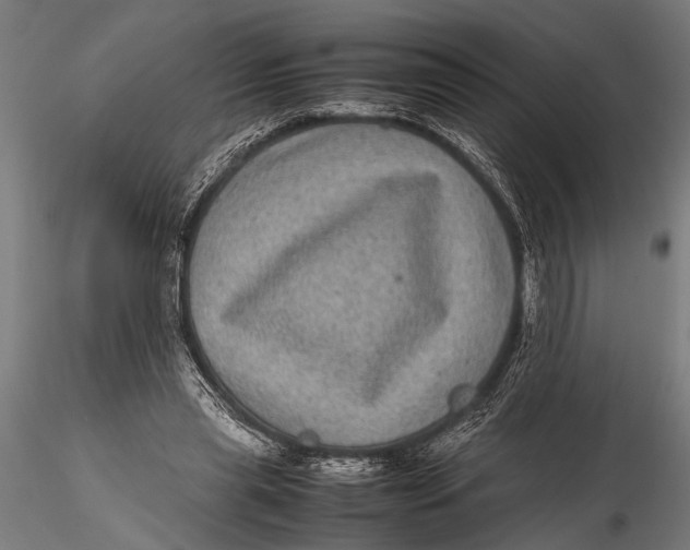 X0000116100445200912141000