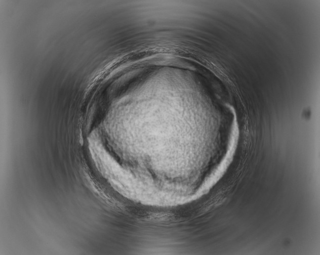 X0000116100446200912141000