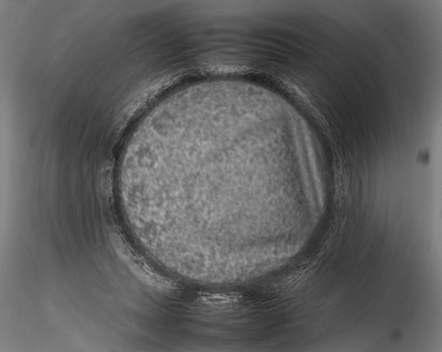 X0000116100447200912141000