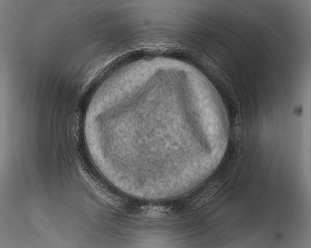 X0000116100448200912141000