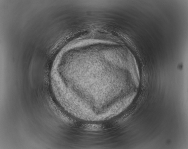 X0000116100449200912141000