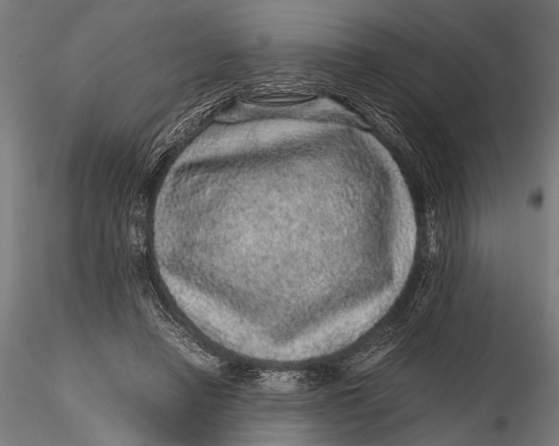 X0000116100450200912141000