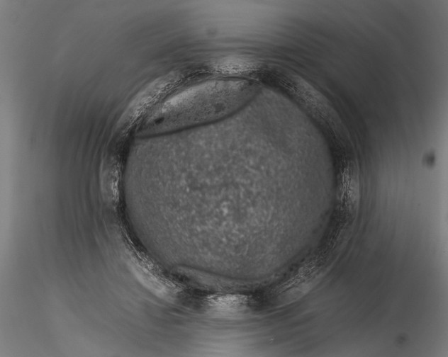 X0000116100452200912141000