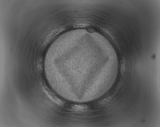 X0000116100455200912141000