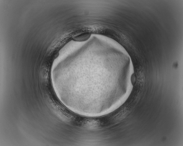 X0000116100456200912141000