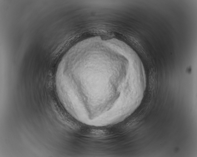 X0000116100457200912141000