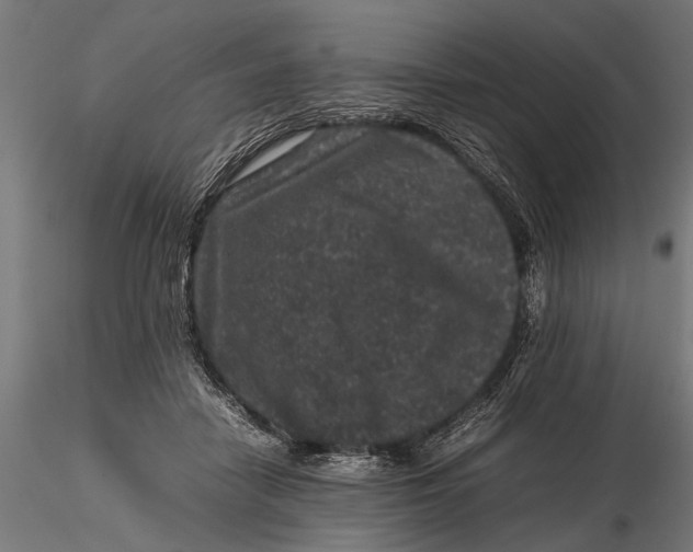 X0000116100458200912141000