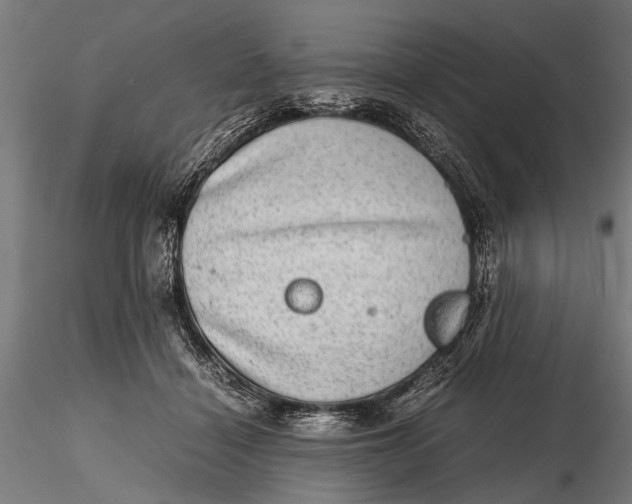 X0000116100460200912141001