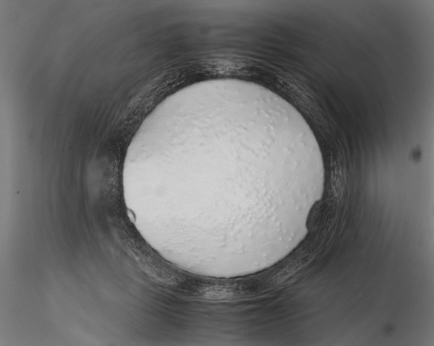 X0000116100461200912141001