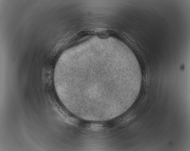 X0000116100462200912141001