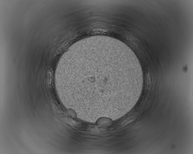 X0000116100463200912141001