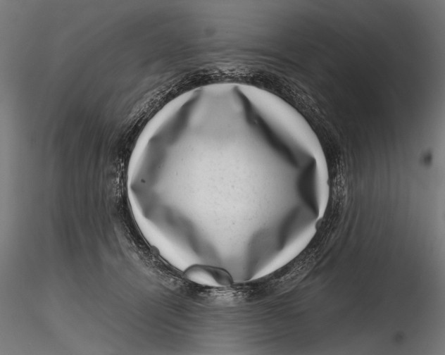 X0000116100464200912141001