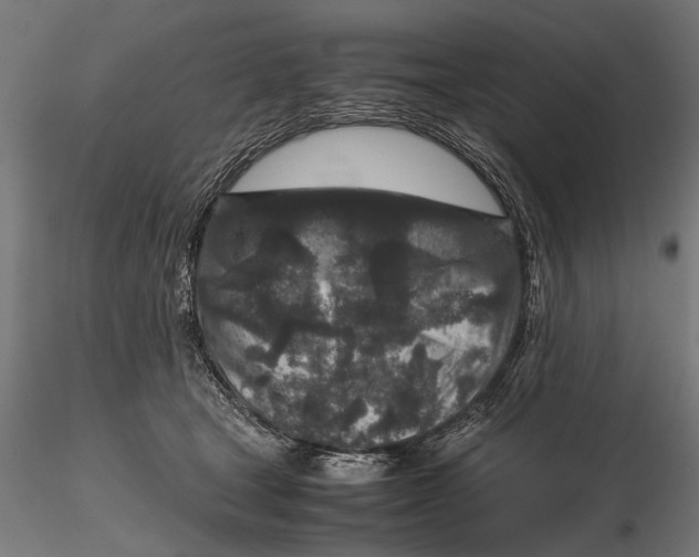 X0000116100465200912141001