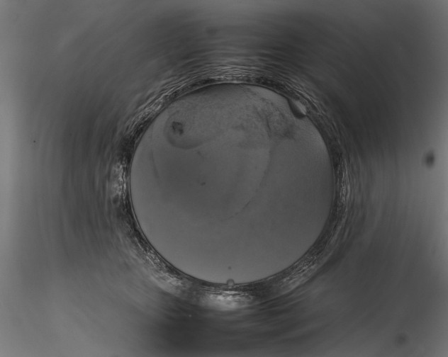 X0000116100467200912141001