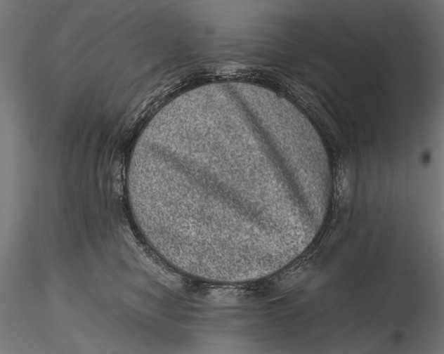 X0000116100470200912141001