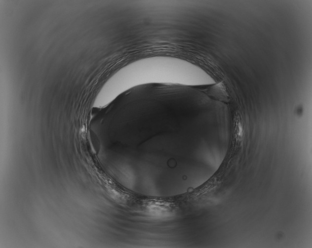 X0000116100471200912141001