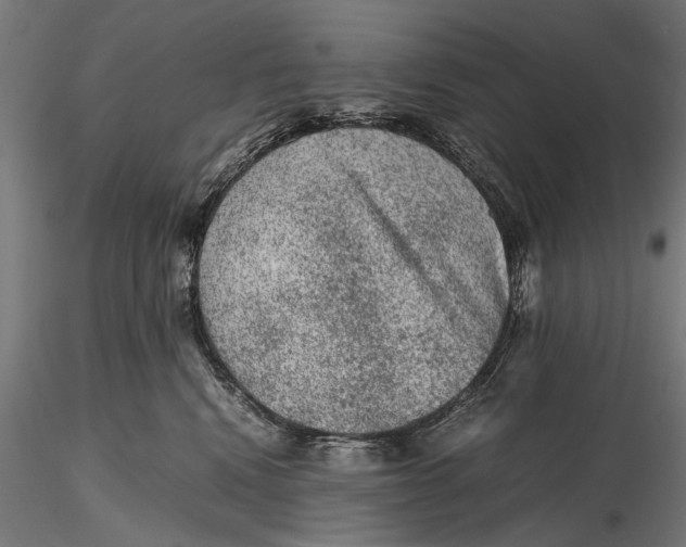 X0000116100472200912141001