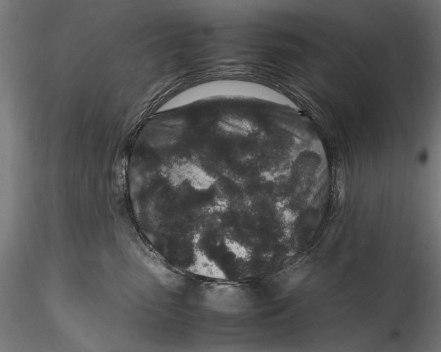 X0000116100475200912141001