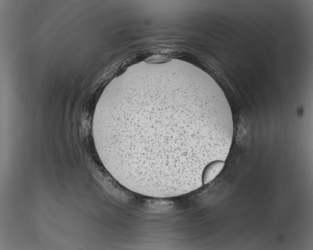 X0000116100476200912141001