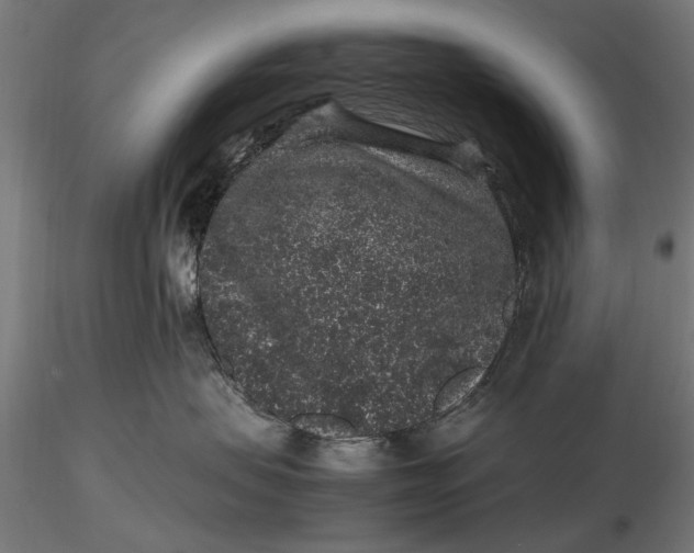 X0000116100479200912141001