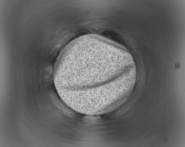 X0000116100480200912141001