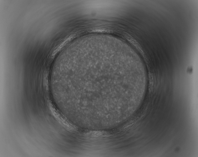 X0000116100482200912141000