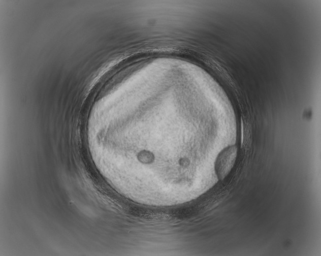 X0000116100483200912141000