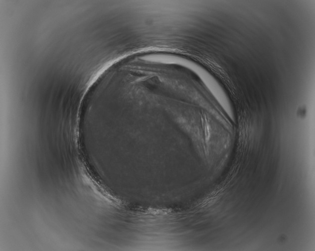 X0000116100484200912141000