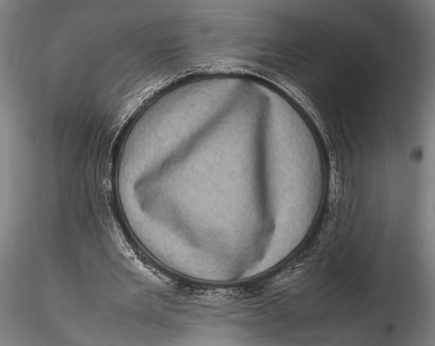 X0000116100485200912141000