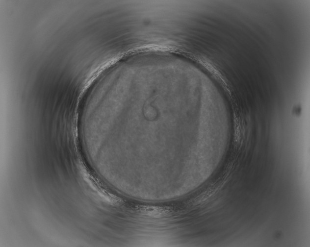 X0000116100486200912141000