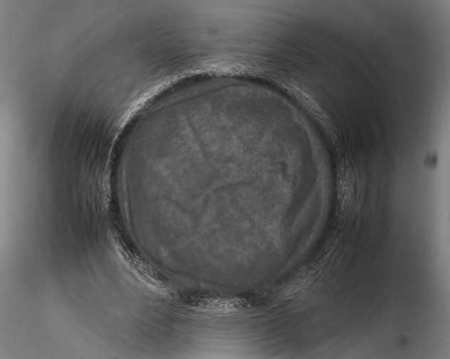 X0000116100488200912141000