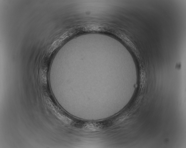 X0000116100489200912141000