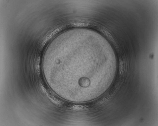 X0000116100490200912141000