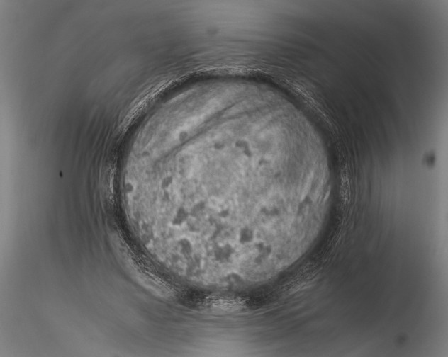 X0000116100491200912141000