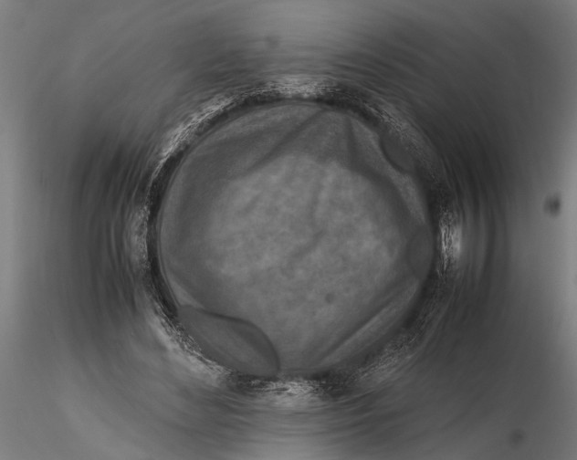 X0000116100492200912141000