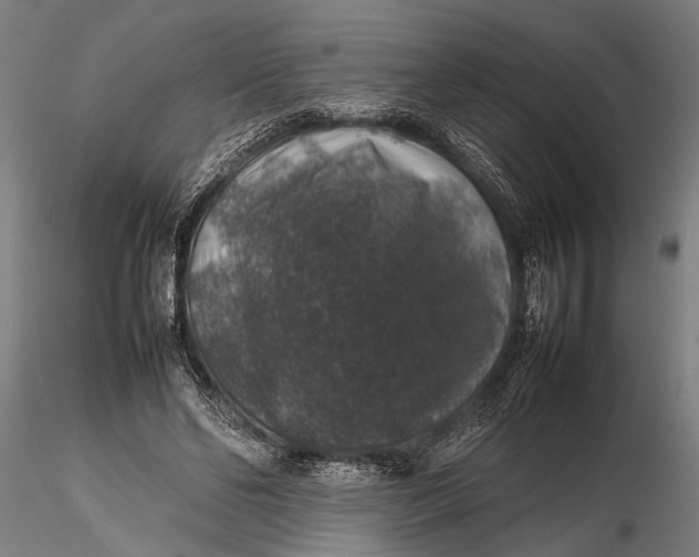 X0000116100494200912141000