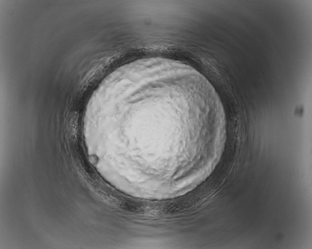 X0000116100495200912141000