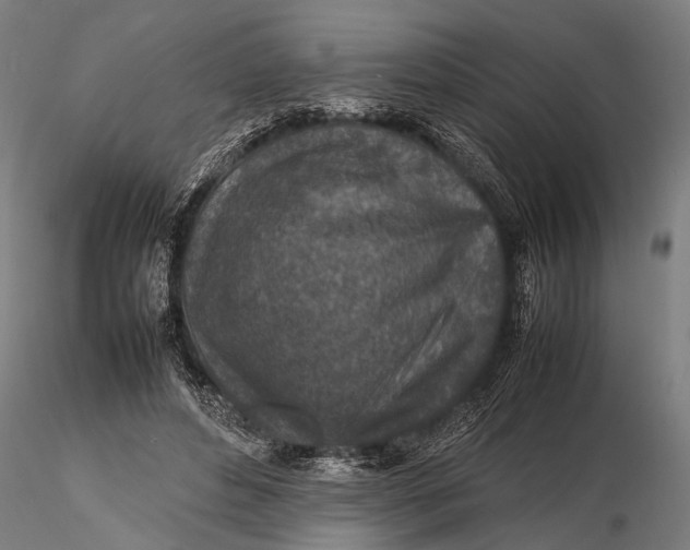 X0000116100496200912141000