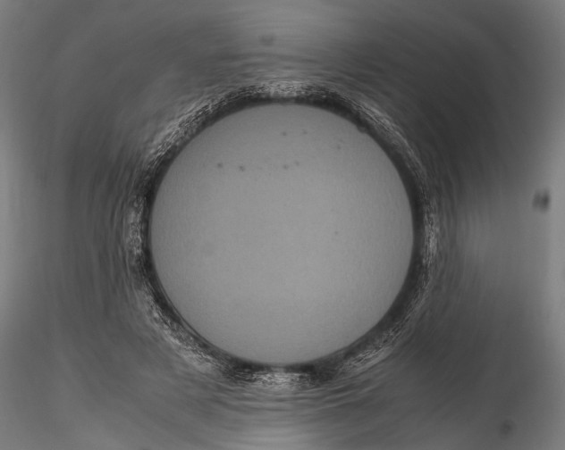 X0000116100497200912141000