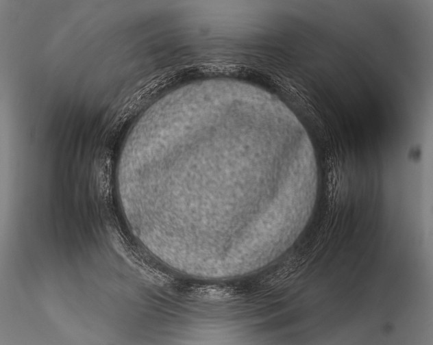 X0000116100498200912141000