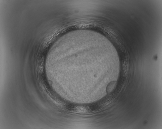 X0000116100499200912141000