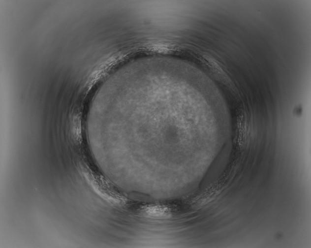 X0000116100500200912141000