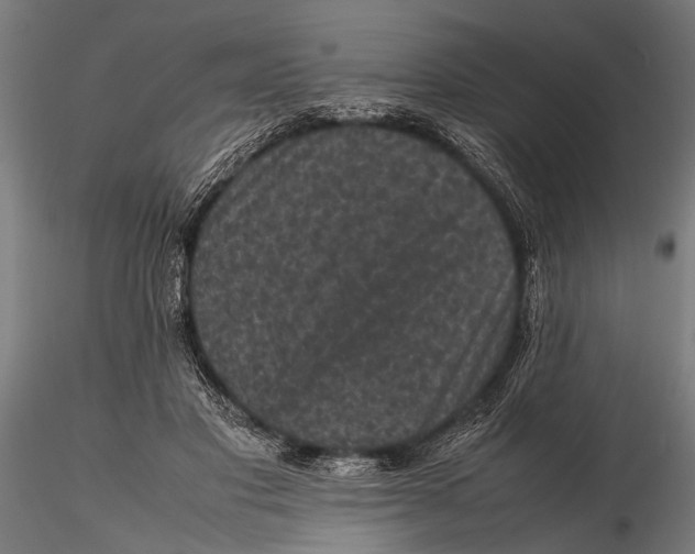 X0000116100501200912141000